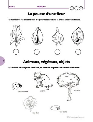 Rondes et jeux dansés (9) / Nous sommes des fleurs