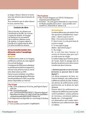 La digestion (dossier)