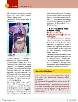 La digestion (dossier)