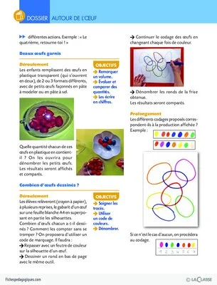 Activités autour de l'oeuf