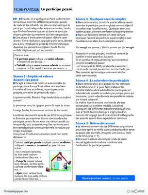 La conjugaison au Cycle 3 (8) / Le participe passé