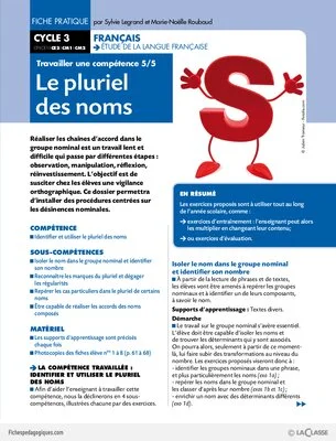 Travailler une compétence (5) / Le pluriel des noms