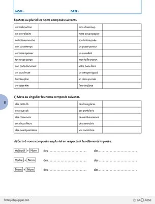 Travailler une compétence (5) / Le pluriel des noms