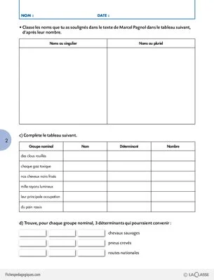Travailler une compétence (5) / Le pluriel des noms