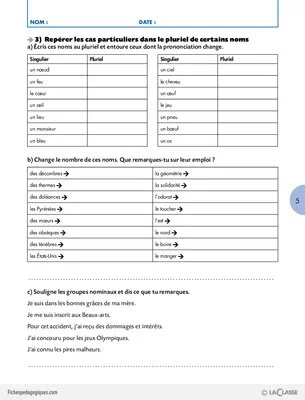 Travailler une compétence (5) / Le pluriel des noms