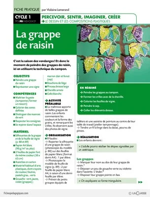 La grappe de raisin