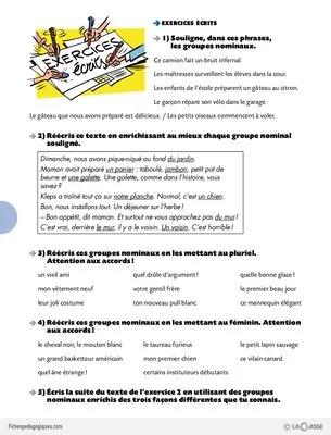 Conseil de révisions (1) / Le groupe nominal
