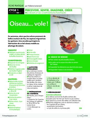 Oiseau... vole !