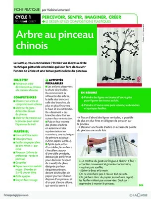 Arbre au pinceau chinois