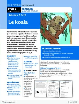 Lecture CE1 / Qui suis-je ?