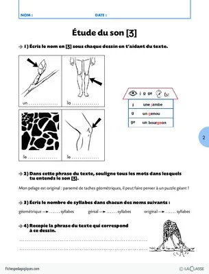 Lecture CE1 / Qui suis-je ?