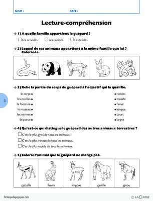 Lecture CE1 / Qui suis-je ?