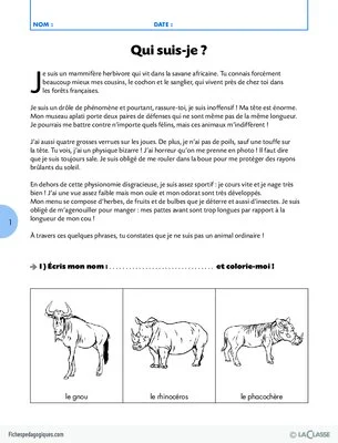 Lecture CE1 / Qui suis-je ?