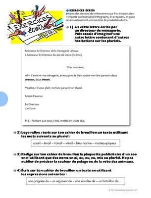 Conseil de révisions (3) / Des pluriels bien singuliers