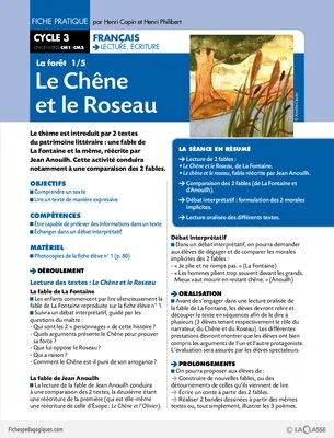 Pack thématique - La forêt (Cycle 3)