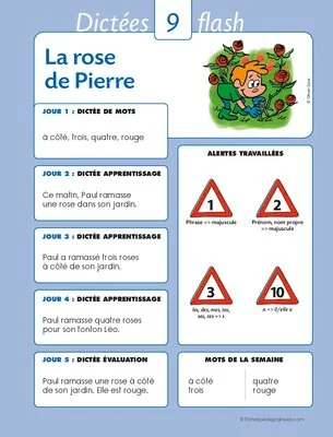 La dictée flash mode d'emploi