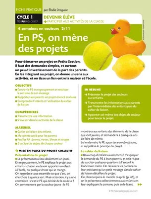 Quatre semaines en couleurs (2). En PS, on mène des projets