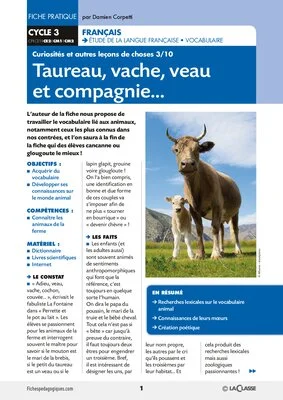 Taureau, vache, veau et compagnie