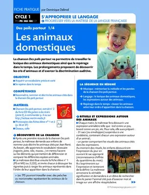 Des poils partout. Les animaux domestiques (1)