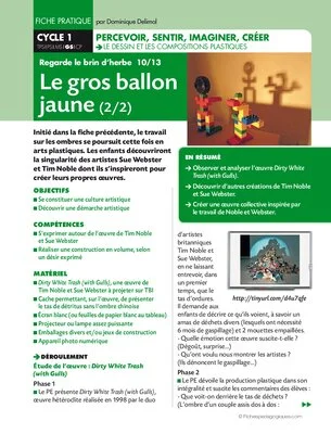 Regarde le brin d'herbe 10/13. Le gros ballon jaune (2)