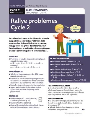 Rallye problèmes