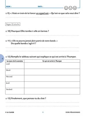 Journal d'un chat assassin