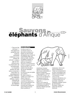 Sauvons les animaux : l'éléphant d'Afrique