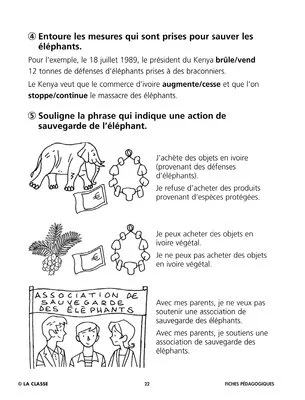 Sauvons les animaux : l'éléphant d'Afrique