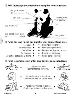 Sauvons les animaux : le panda