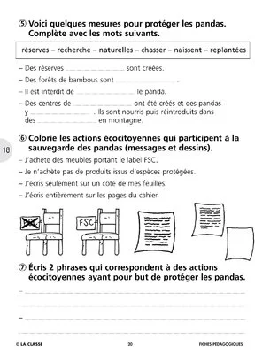 Sauvons les animaux : le panda