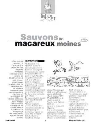 Sauvons les animaux : le macareux moine