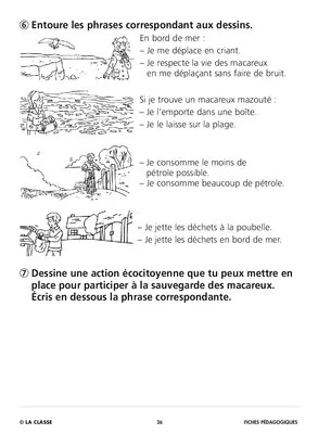 Sauvons les animaux : le macareux moine