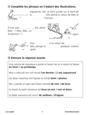 Sauvons les animaux : le macareux moine