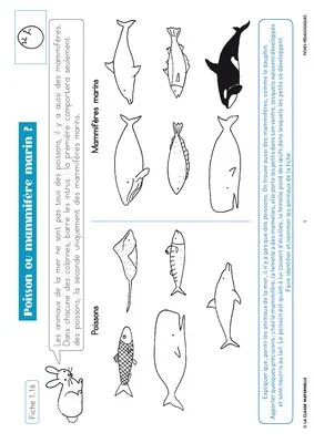 Grignote Vivant - sciences