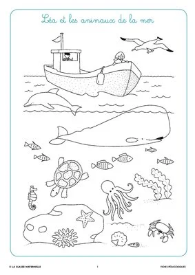 Syllasons GS Animaux de la mer