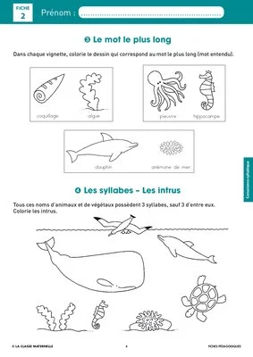 Syllasons GS Animaux de la mer