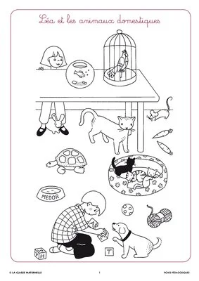 Syllasons GS Animaux domestiques