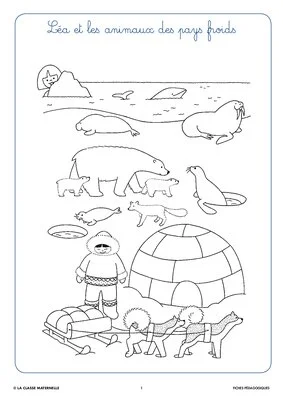 Syllasons GS Animaux du froid