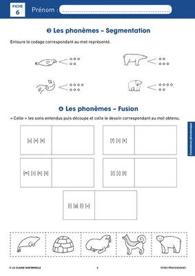 Syllasons GS Animaux du froid