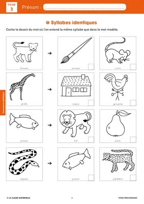 Syllasons GS Animaux de la savane (2)