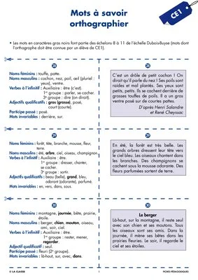 Une année de dictées CE1 juin