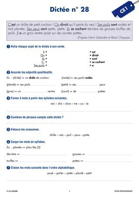 Une année de dictées CE1 juin
