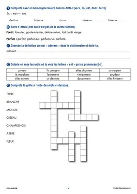 Une année de dictées CE1 juin