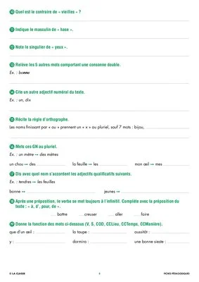 Une année de dictées CE2 juin
