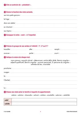 Une année de dictées CM1 juin