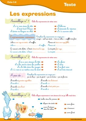 Passerelle CP CE français
