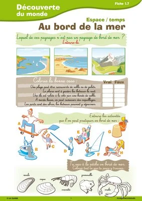 Passerelle CP CE1 géographie espace