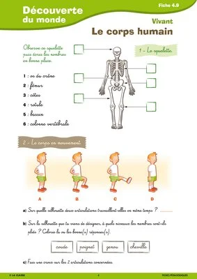 Passerelle CE1 CE2 vivant sciences