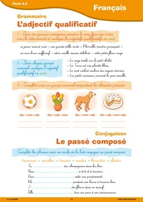 Passerelle CE2 CM1 français