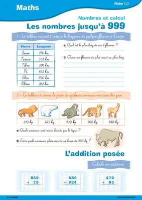 Passerelle CE2 CM1 numération et calcul